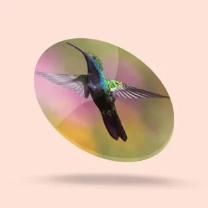 Qikink Acrylic Circle Coaster