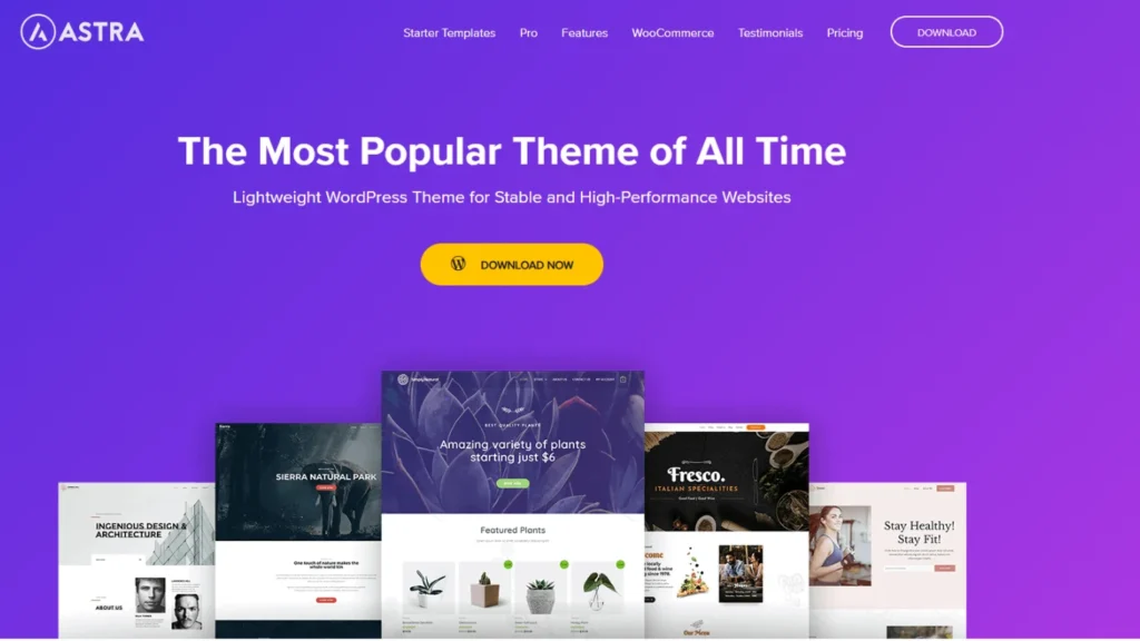 Start Astra dropshipping with WooCommerce