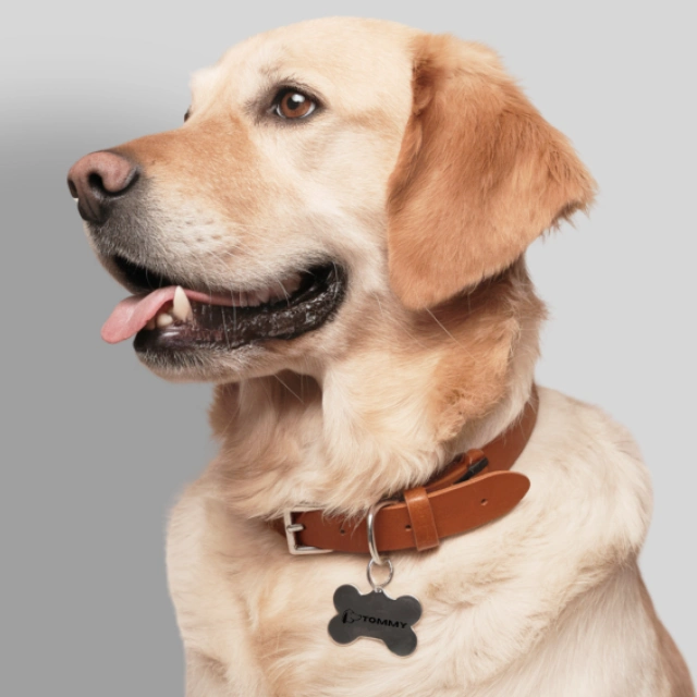 Dog with a Bone Tag qikink Dog with a Bone Tag qikink