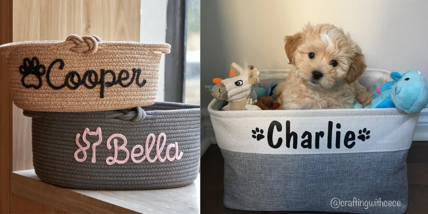 Custom pet storage bins with Qikink