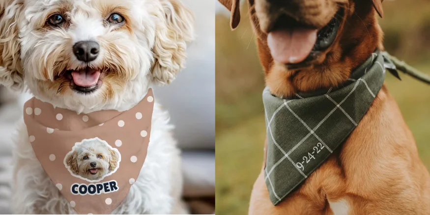 Selling Print on demand pet bandanas with Qikink