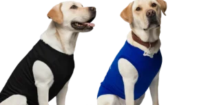 sell custom pet tshirt with qikink