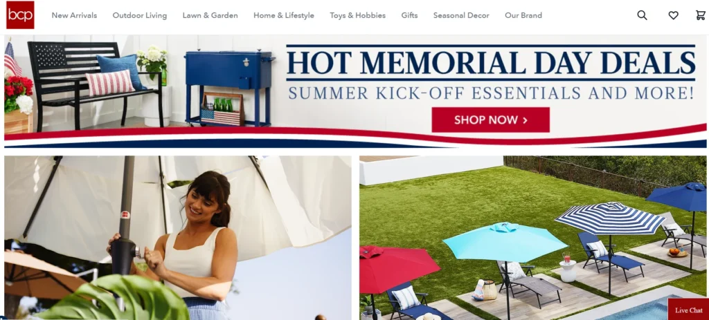 Dropshipping website examples - Best choice product