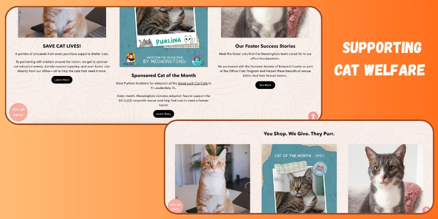 Best Shopify dropshipping store examples - cat welfare scheme of Meowingtons