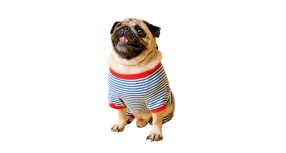 Dog t-shirt