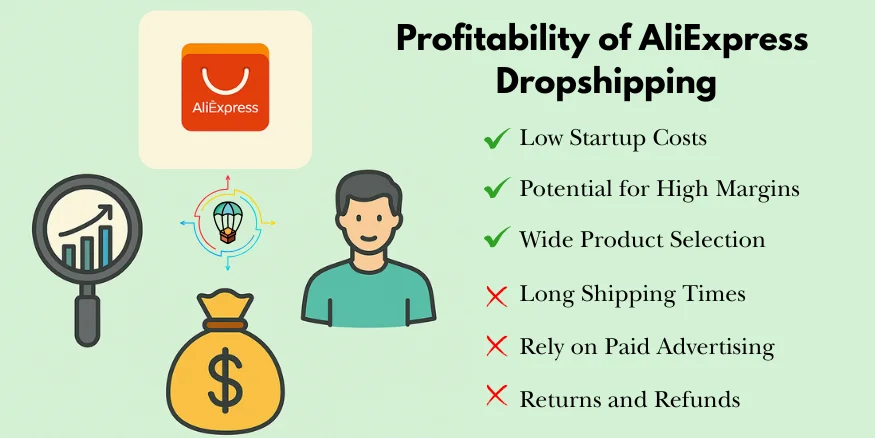 The Profitability of AliExpress Dropshipping India