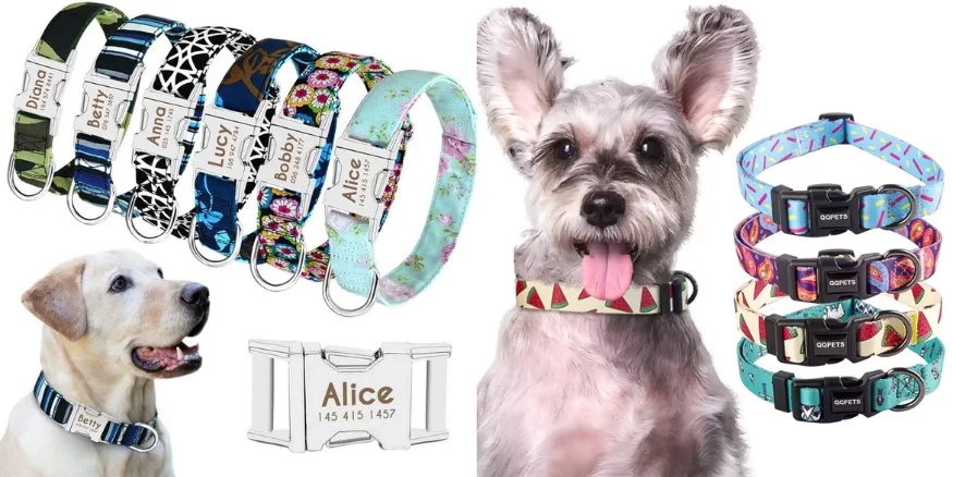 Custom Pet Collars -qikink