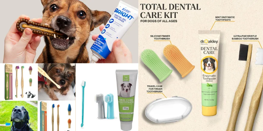 Dental Care Products for pets-qikink