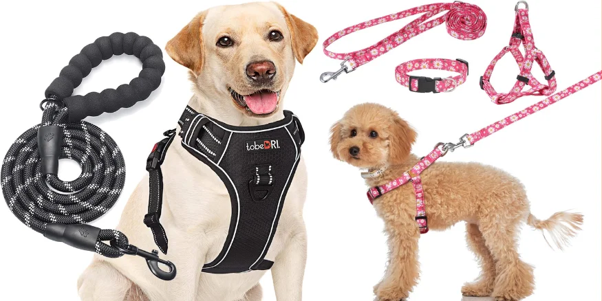 Pet Leashes and Harnesses-qikink