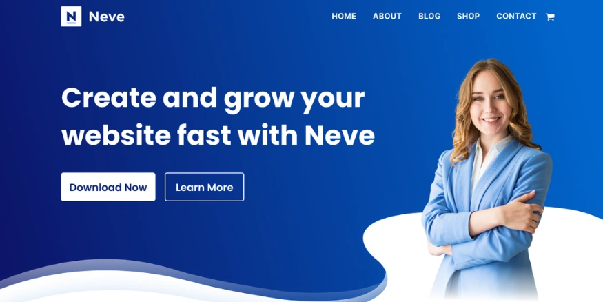 Neve Dropshipping Theme for WordPress - Qikink