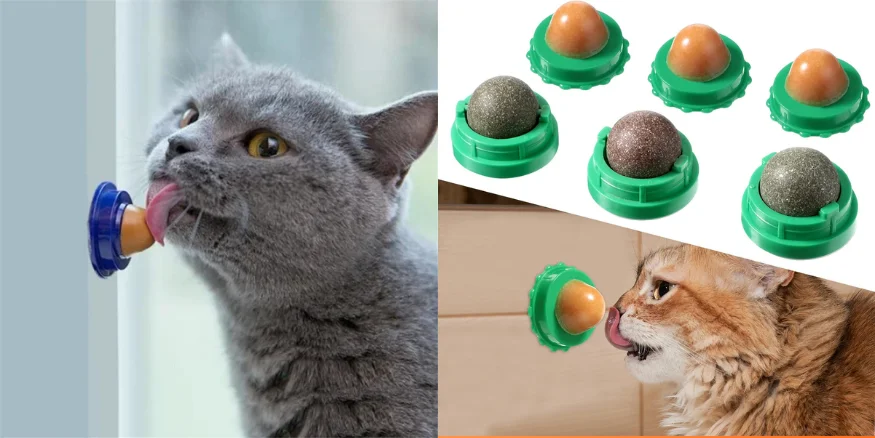 Nutritious Catnip Sugar-qikink