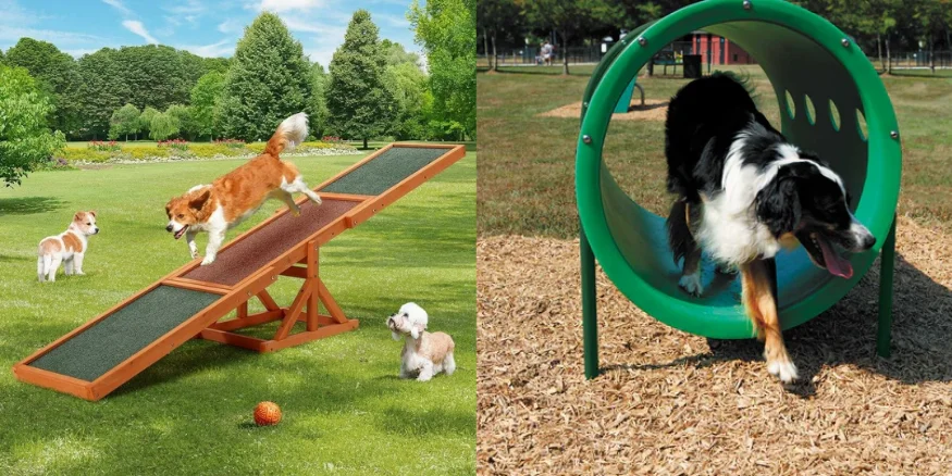 Outdoor Play Equipment for pets-qikink