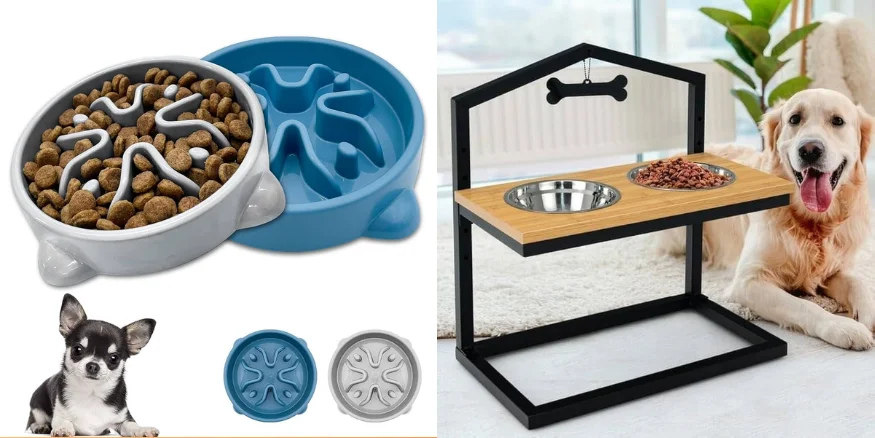 Pet Bowls and Feeders -qikink