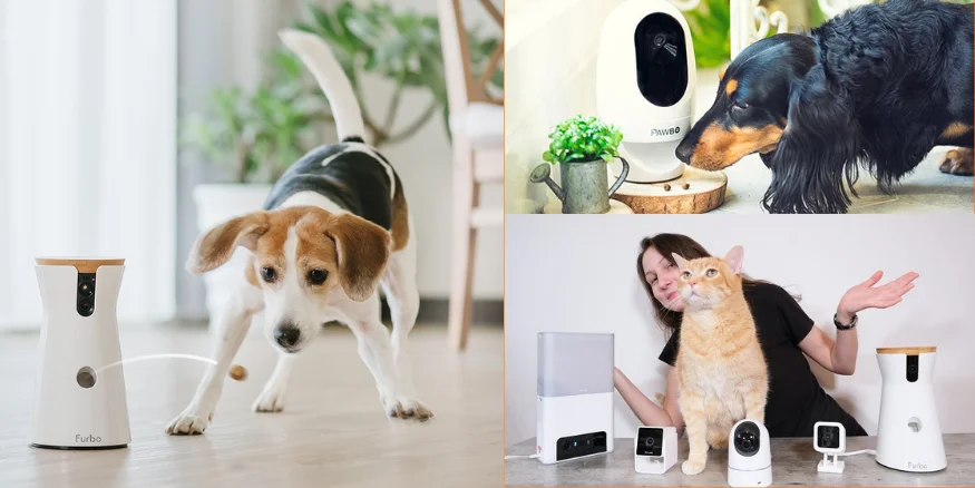 Pet Cameras -qikink