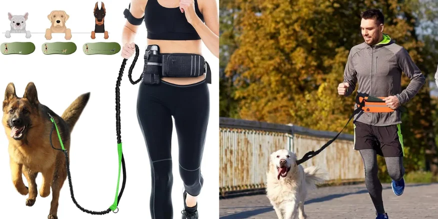 Pet Dog Jogging Waist Belt-qikink