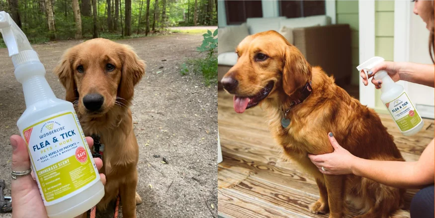 Pet supplies, pet flea and tick prevention