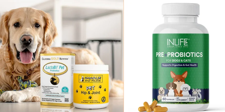 Pet Health Supplements-qikink
