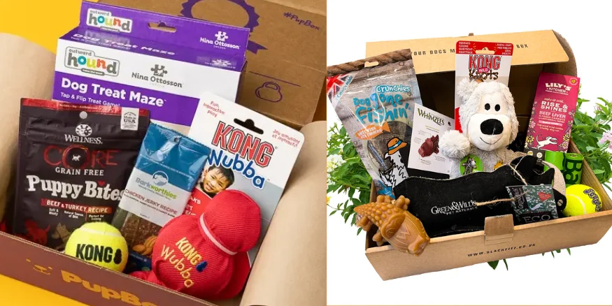 Pet subscription boxes