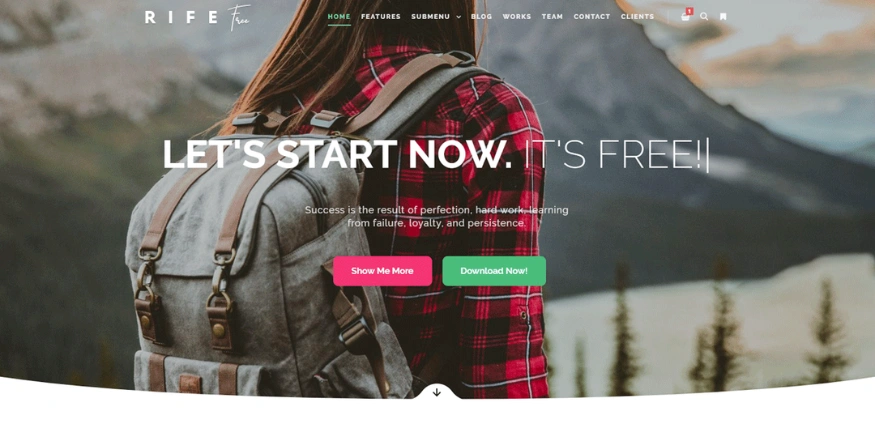 Rife Free Dropshipping Theme for WordPress - Qikink