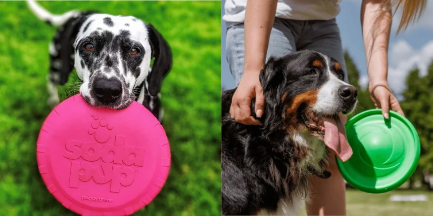 Rubber Fetch Flying Disc -qikink