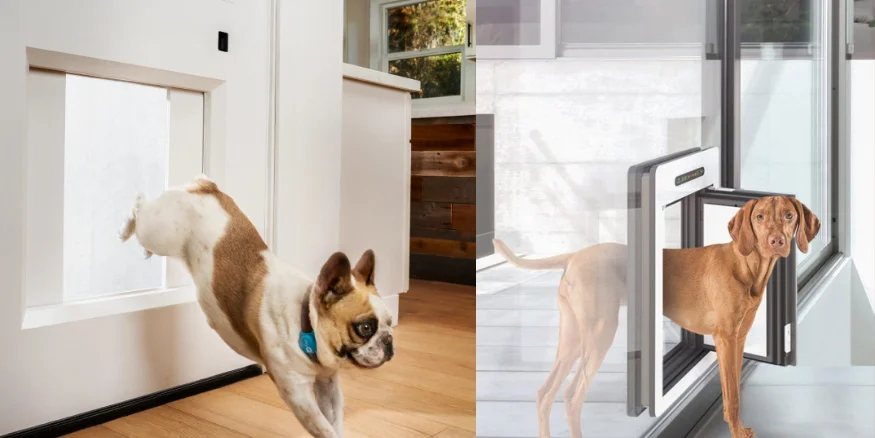 Smart Pet Doors-qikink