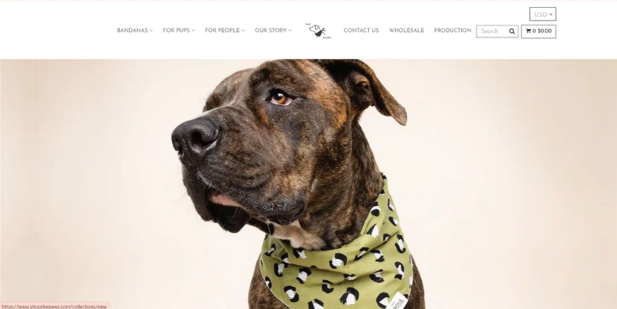 The Paws dropshipping supplier