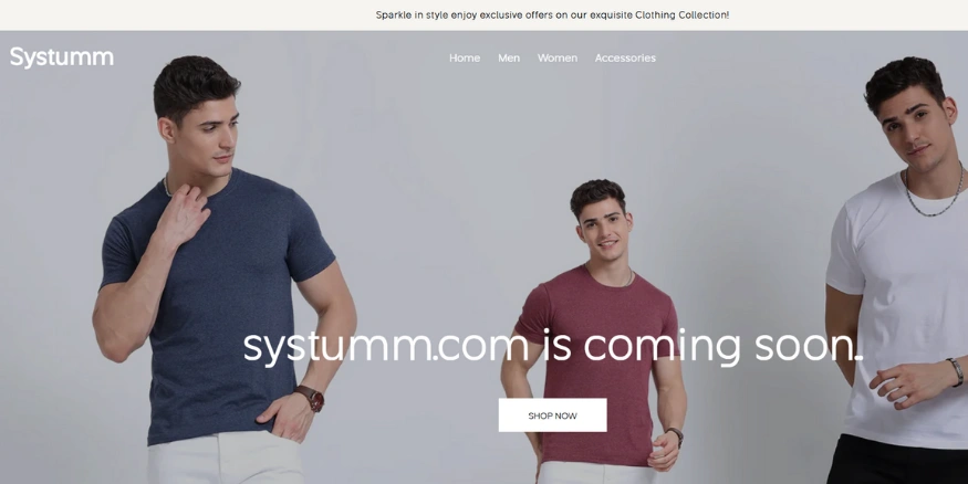 Systumm Clothing website - Qikink