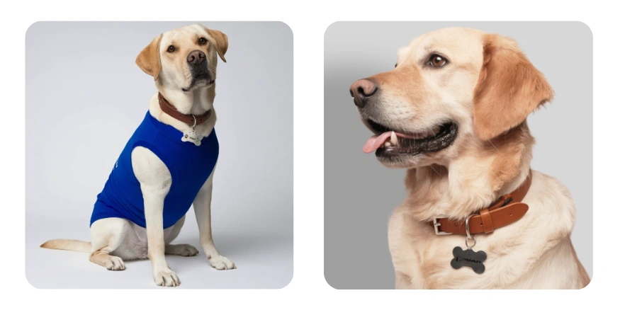 White Label Pet Products-qikink