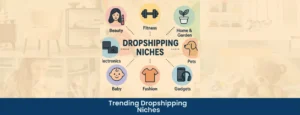 dropshipping niches