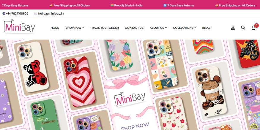 Minibay D2C brand India
