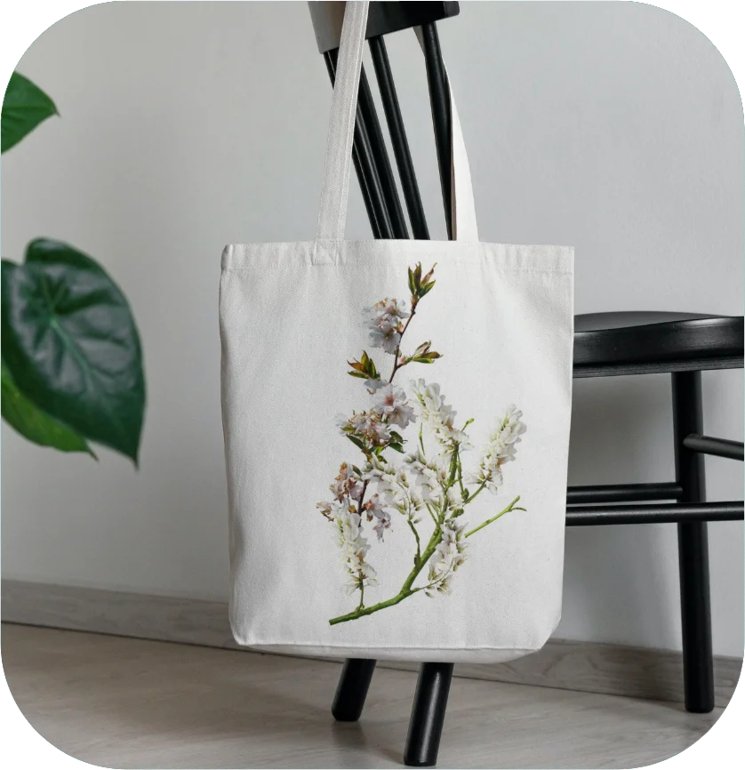 Tote bag Sustainable Gifts