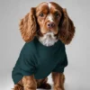 custom pet t-shirts qikink