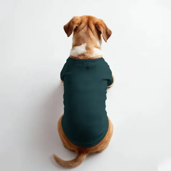 dog wear a t-shirt and sit down qikink